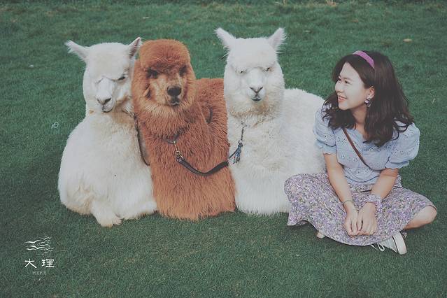 长沙自驾去大理多少钱,生活需要惊喜自驾直奔大理