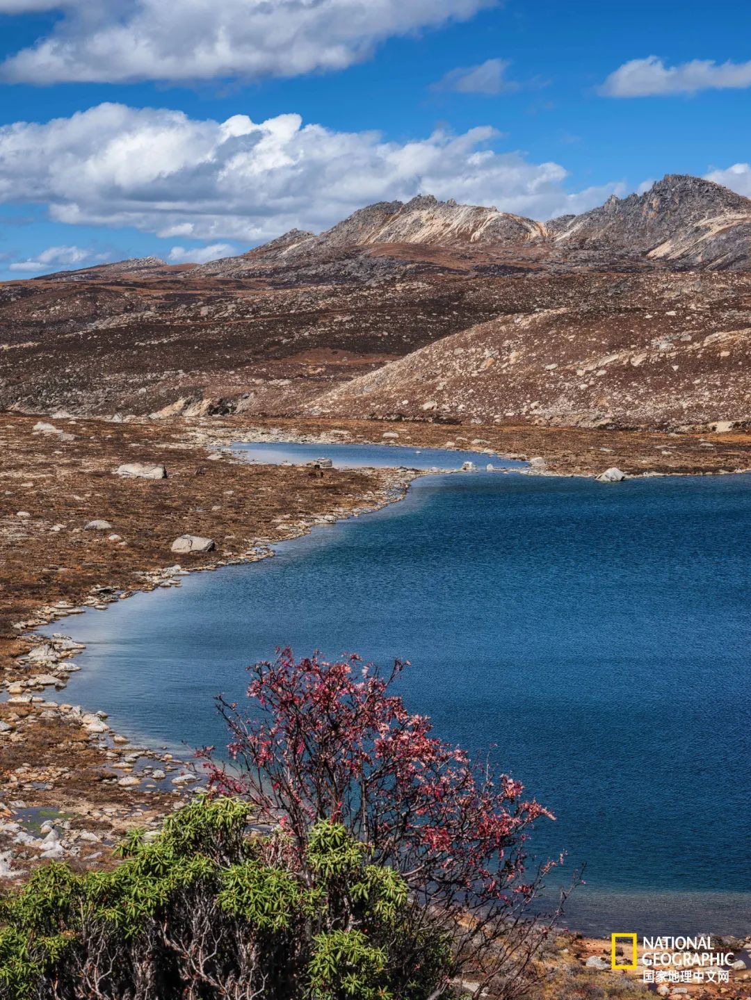 为什么要去稻城亚丁,为什么一定要去理塘