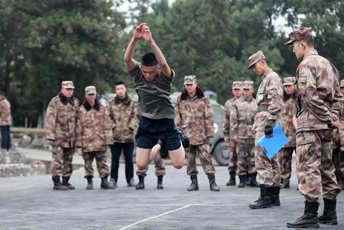 寒风中彼此鼓励,寒风中它们依然是城市的守护者