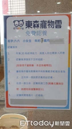 出乃玩!萌橘「招财猫挥手」求陪玩 同伴翻肚已读:静静看你装B