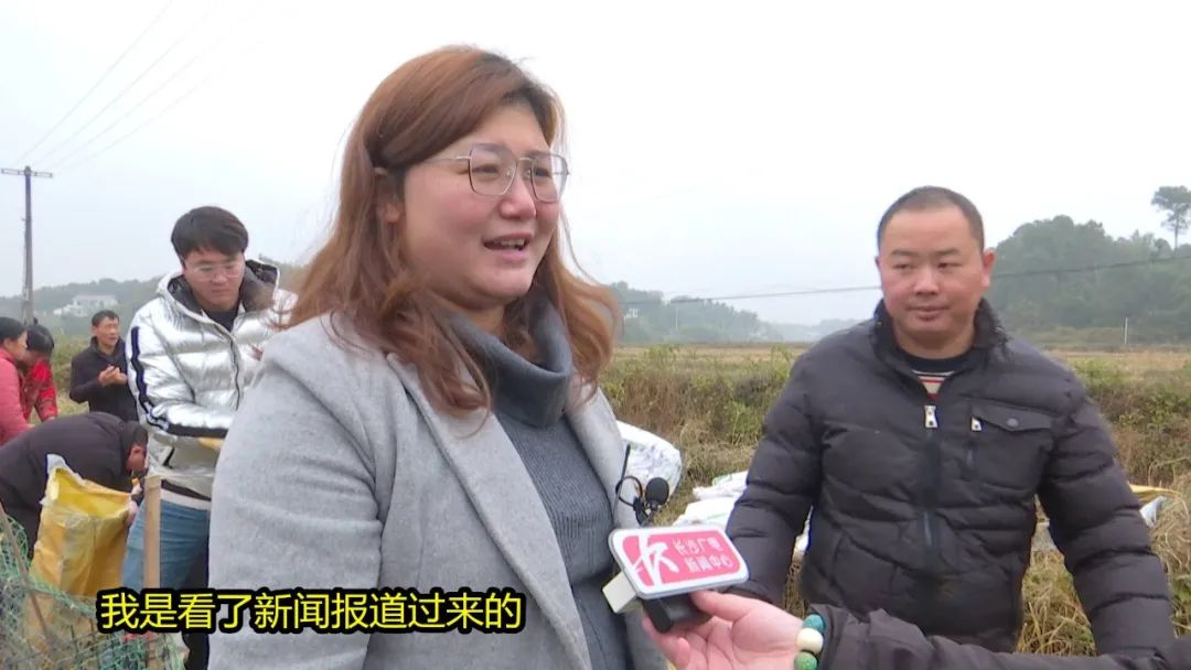 湖南买鸭,长沙买鸭