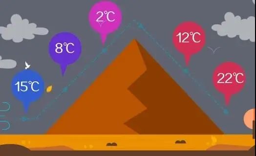 林子大了什么鸟都有下一句是什么,林子大了啥鸟都有讽刺图片