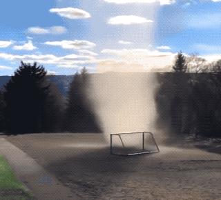 林子大了什么鸟都有下一句,林子大了啥鸟都有歌曲