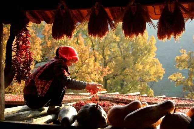 冬天的婺源你见过吗,婺源的秋天到底有多美