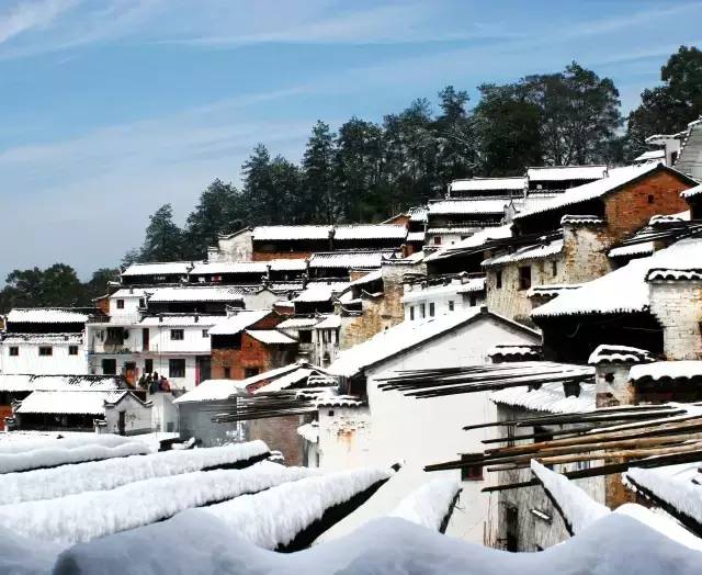 冬天的婺源你见过吗,婺源的秋天到底有多美