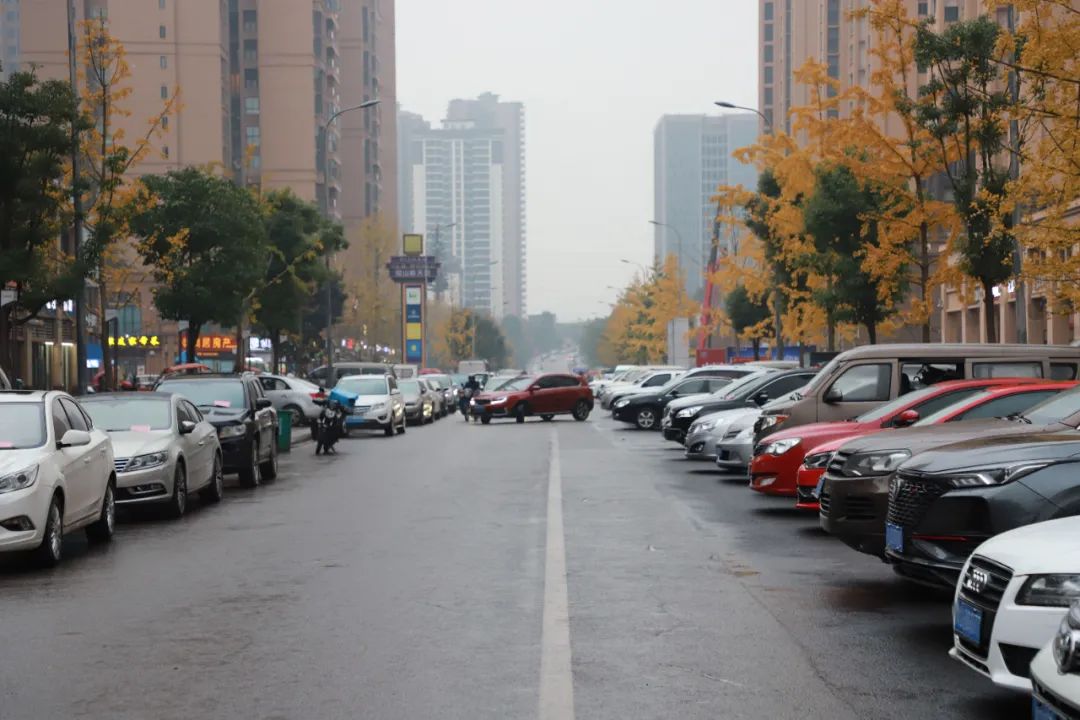 联合执法，还路于民︱整治凤凰城小区周边违停乱象！