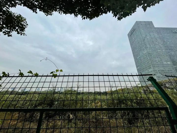 钱江世纪城好还是之江板块好,钱江世纪城属于滨江吗