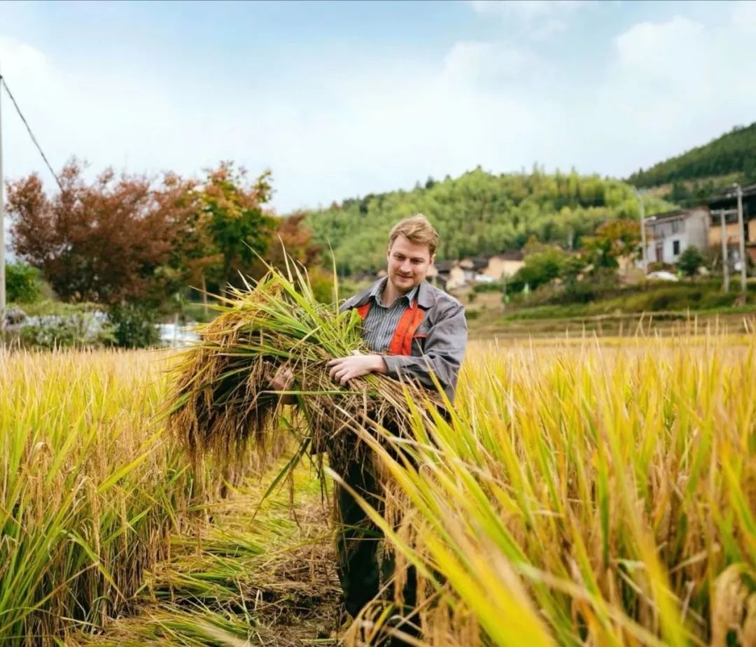 差别在哪？丽水普通山里农耕，却被俄罗斯小伙过成“田园诗”，获赞千万