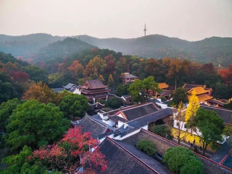 今天cctv1在线直播节目表,cctv1开讲啦今天的直播回放