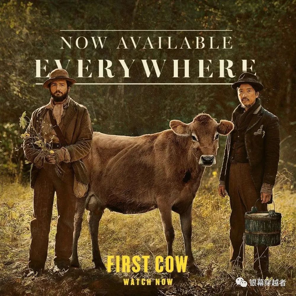 《纽约时报》年度最佳电影和剧集名单