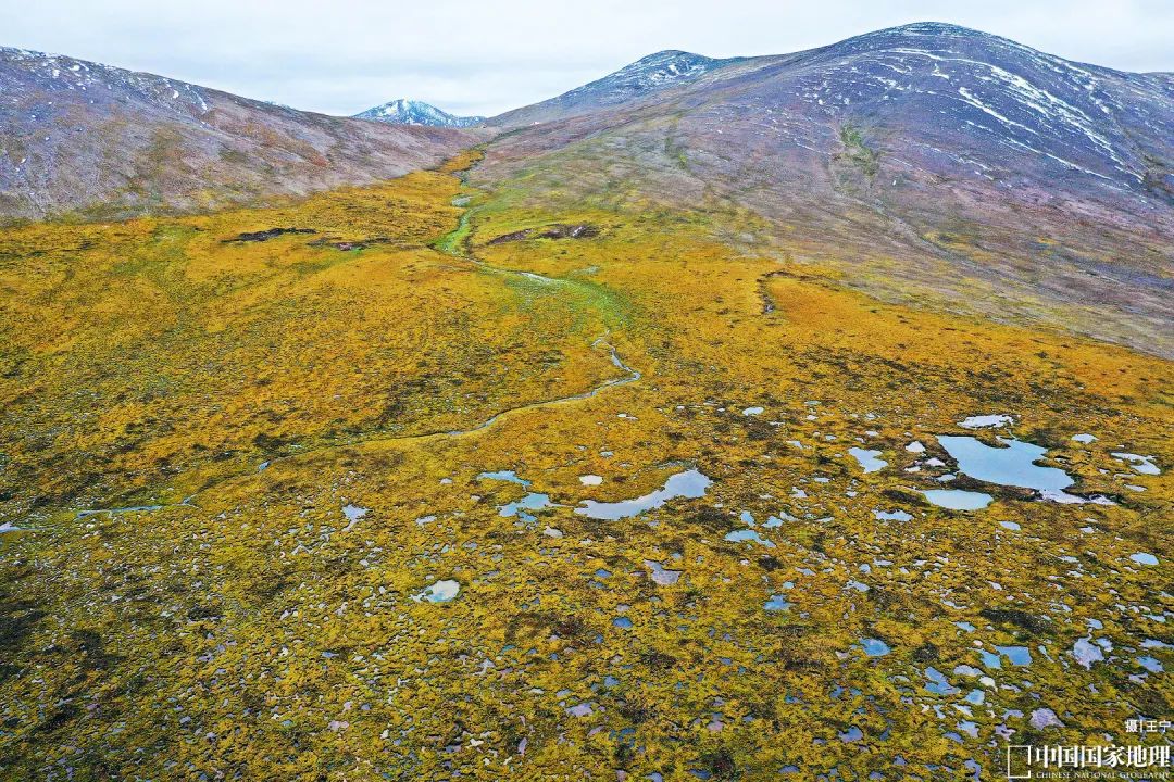 30道测试题,十道题测试你是否真的了解