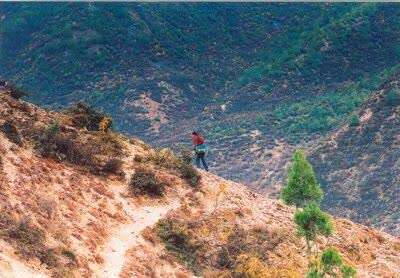 从“溜索姑娘”到邮政扶贫人，她是藏族群众心中的格桑花