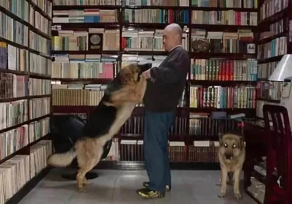 郑渊洁凡尔赛式道歉新闻,郑渊洁经典语录