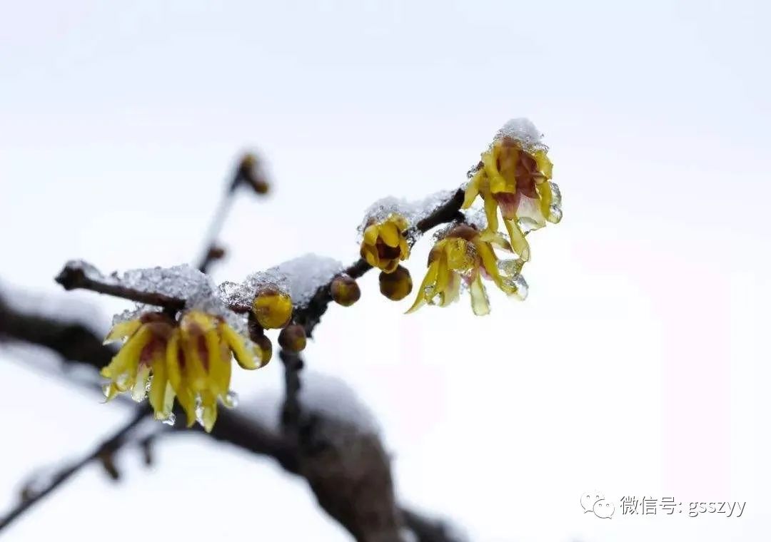 手脚冰凉冬至节气怎样养生,节气养生知识大全图解
