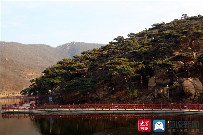冬季泰山温泉城,泰山温泉城森林氧吧