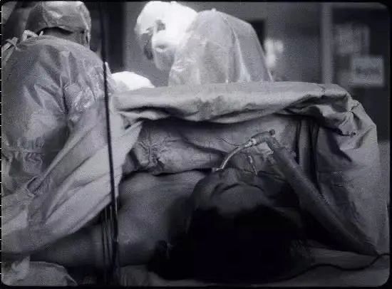 金星表面有多可怕,金星有病毒吗