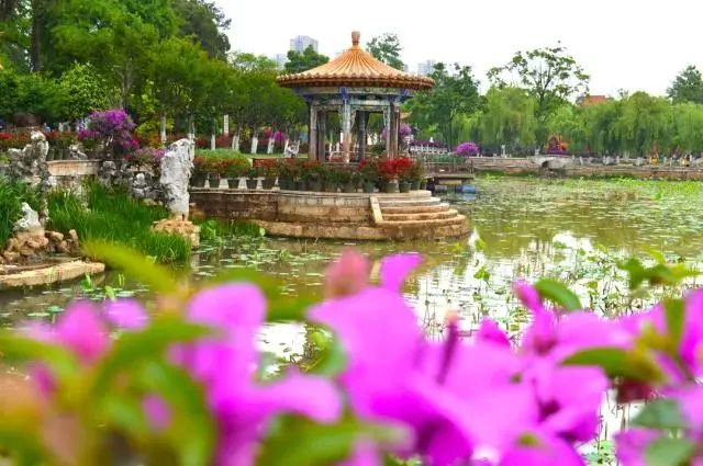 昆明春城风光秀,昆明春城秀小视频