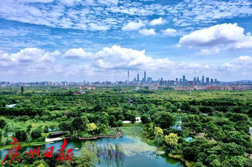 广州市海珠区美丽景点,广州海珠区风景区