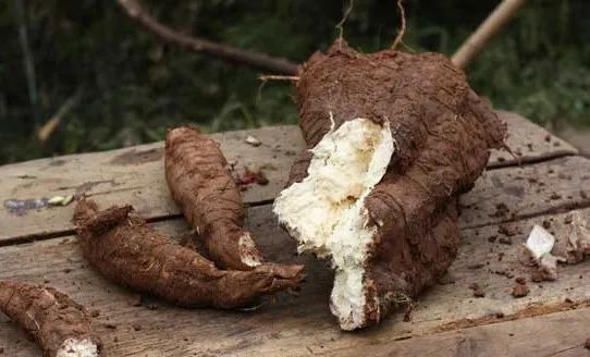 有什么方法可以丰胸不用丰胸产品,其实丰胸很简单呀