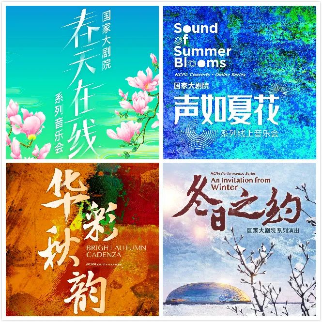 贝九2019,贝九最新消息