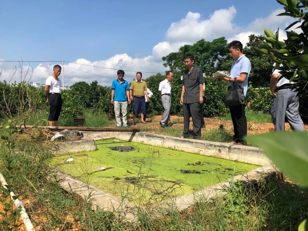 最高人民法院发布典型案例,最高人民法院最新发布典型案例