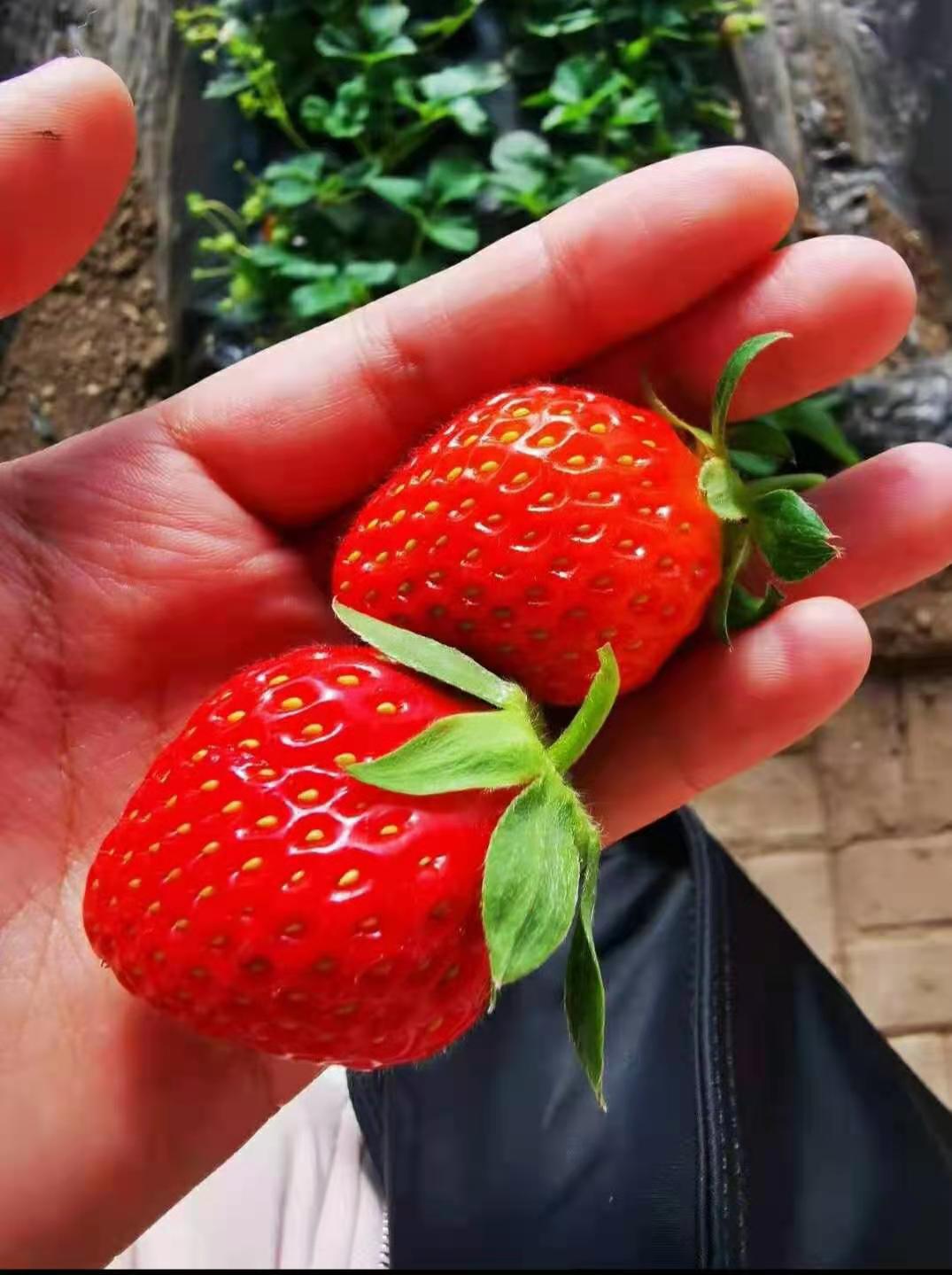 消费扶贫爱心助农工作,消费扶贫爱心助农视频