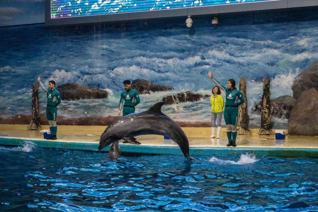 福州峡天下景区一日游攻略,福州一日游最佳景点是哪里