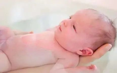 浼氬枬姘寸殑姣涘肪,浼氬惛姘寸殑娴村肪