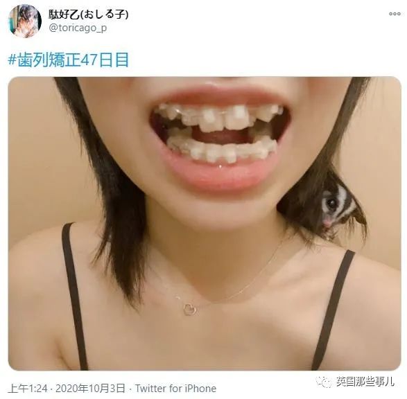 樱花妹高清完整,樱花妹最新视频