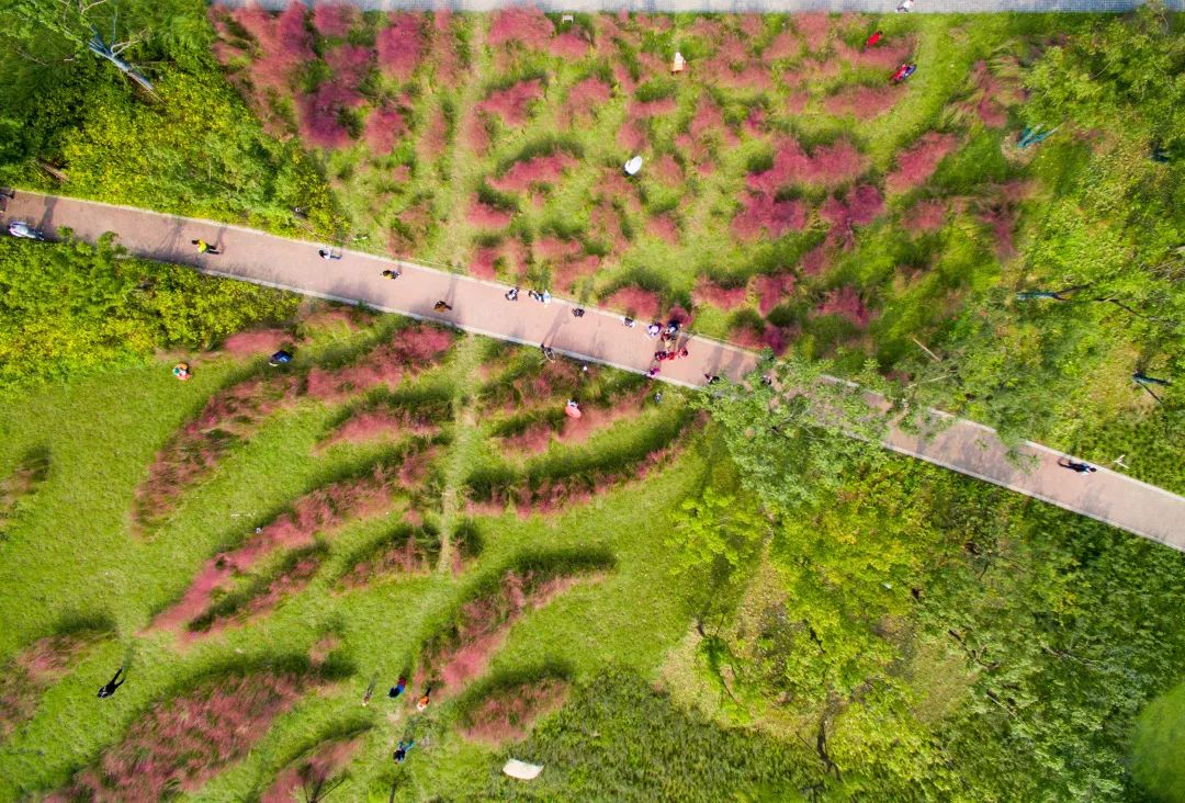 一文看遍大美南京河西，锦绣建邺