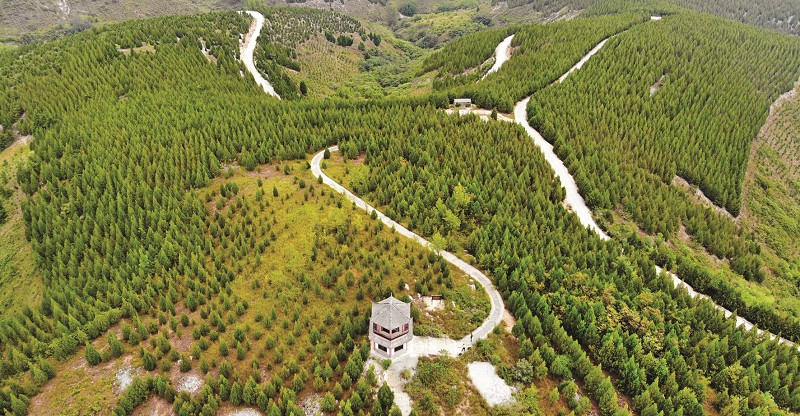 攻坚克难破浪前行,攻坚克难乘势奋进