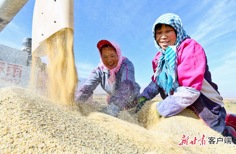 加快推进农业机械化转型升级,农业机械化助力乡村产业振兴