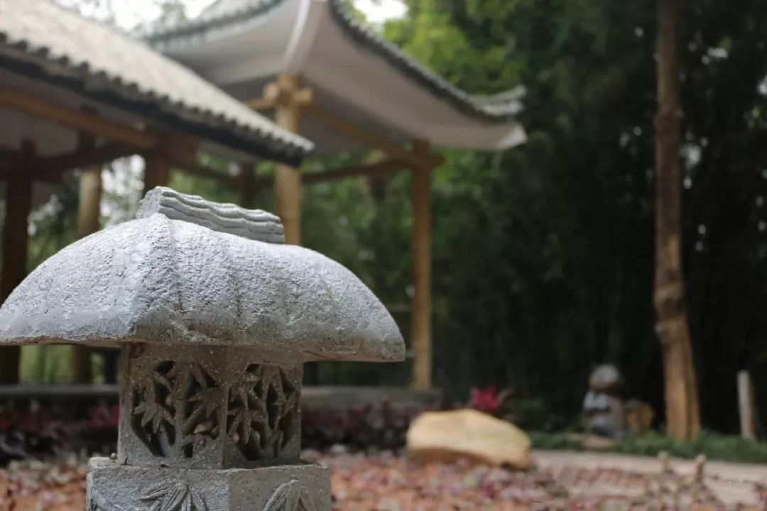 深圳值得打卡拍照的地方10月份,深圳绝美打卡地三月份