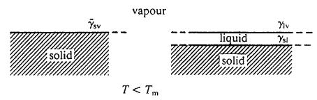 冰冰文章,今天的文章