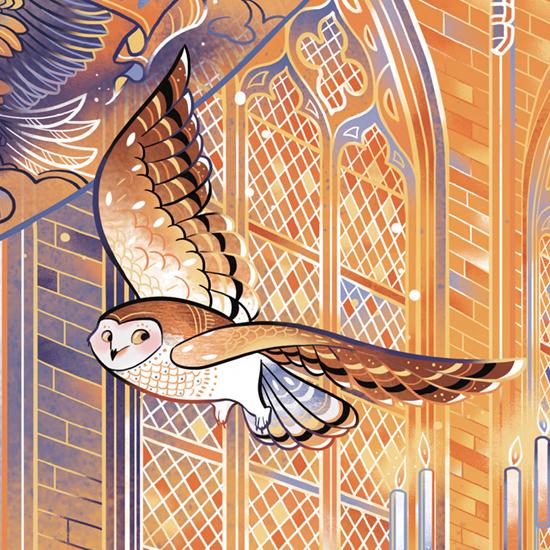 20卷本“哈利·波特”全体集结!它与其他版本有什么不一样?