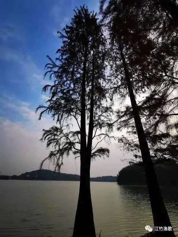 案管，管案，怎样的追风少年？