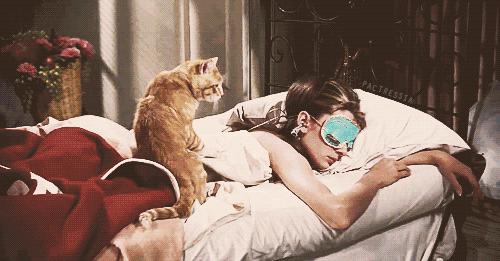 今年的新年计划，从好好爱自己开始吧