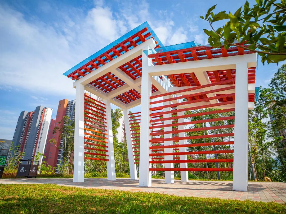 [春节留深]龙华游园攻略之民治街道篇