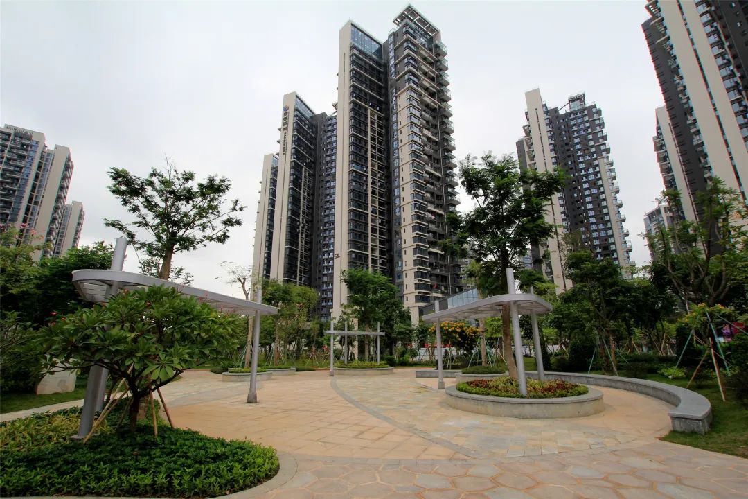 [春节留深]龙华游园攻略之民治街道篇