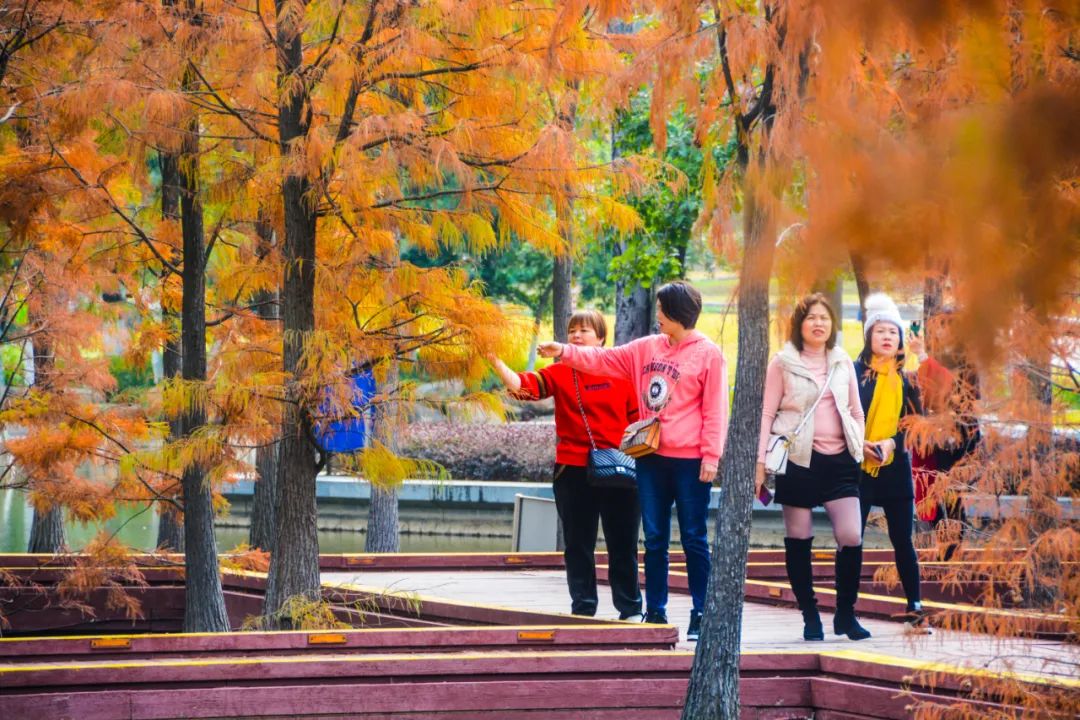 1月最美的佛山藏在这里!全部免费赏!