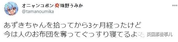 捡到小奶猫变身成男神,捡回来的小奶猫