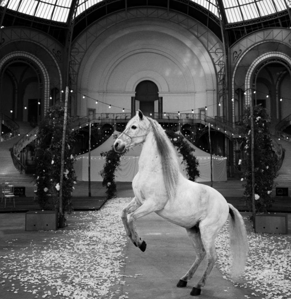 看完CHANEL这场梦幻的花园婚礼,谁不想成为身骑白马的新娘?