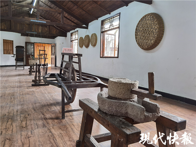 “凤凰”再“起飞”,扬州这处“生态绿肺”改造完成