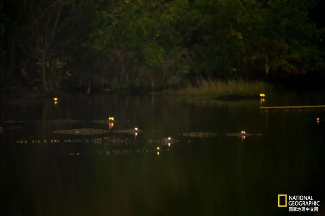 槌勯奔鑱屼笟鐚庝汉,槌勯奔鐚庝汉骞磋柂