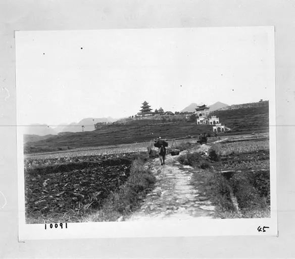 贵博讲坛,45纪要丨新鸟居龙藏与中国西南