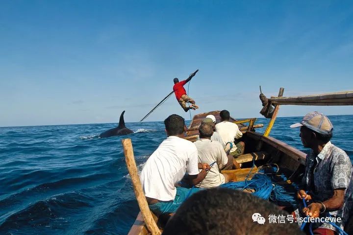 有史以来最简单的捕鱼方式,除了鱼竿还有什么钓具