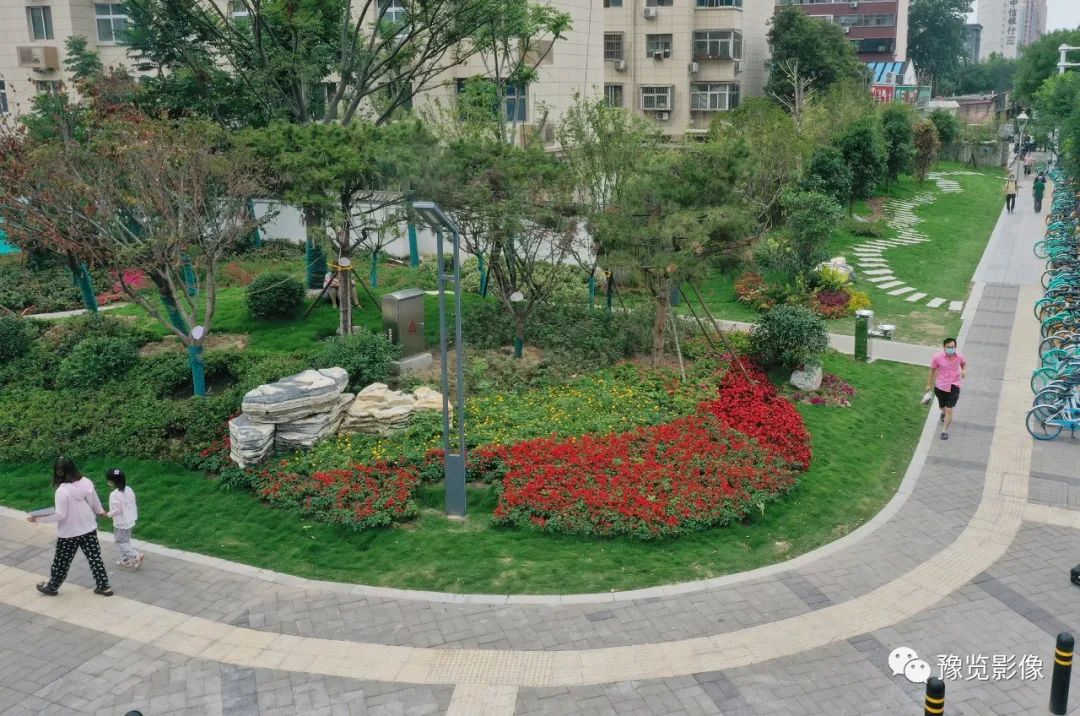 在郑州，遇见美好——刘絮|影像纪年2020（38）