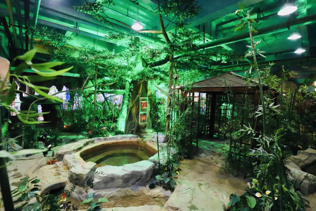 春节不打烊随心玩,内蒙古就地过年