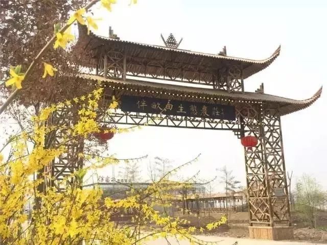 带你看盐城风景,牛年看牛展2021新春展等你来打卡