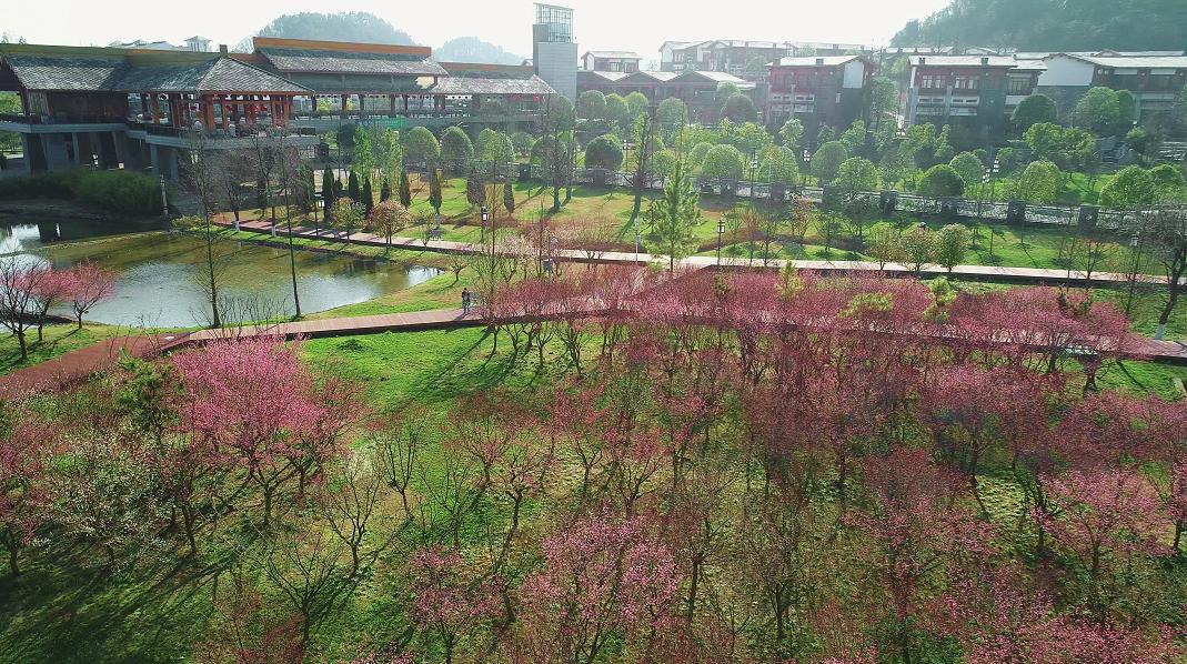 春节广东出发外省旅游攻略,春节旅游攻略提前看